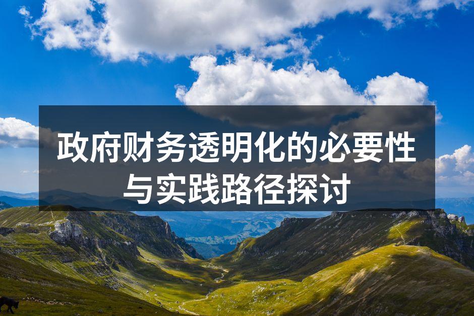 政府财务透明化的必要性与实践路径探讨
