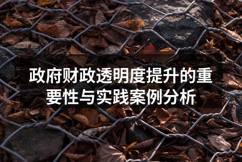 政府财政透明度提升的重要性与实践案例分析